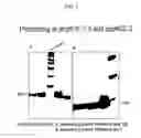 Fig. 03 - Stable mutated pro nerve growth factors