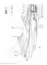 Fig. 02 - Small watercraft capable of suppressing vibration and noise of the vessel body