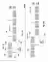 Fig. 06 - Method and system for antenna selection in wireless networks