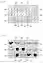 Fig. 03 - SLOT MACHINE AND PLAYING METHOD THEREOF