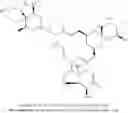 Fig. 159 - Avermectin and avermectin monosaccharide substituted in the 4″- and 4″ position respectively