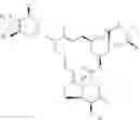 Fig. 39 - Avermectin and avermectin monosaccharide substituted in the 4″- and 4″ position respectively