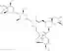 Fig. 40 - Avermectin and avermectin monosaccharide substituted in the 4″- and 4″ position respectively