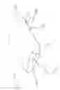Fig. 02 - Reusable surgical perioperative positioning system