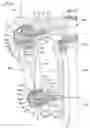 Fig. 01 - Steering damper mounting structure for a vehicle