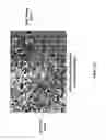 Fig. 24 - Means and methods for diagnosing and treating affective disorders