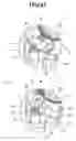 Fig. 06 - Rotary connector device with arcuately overlapping first and second cutter portions