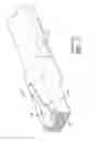 Fig. 02 - Replacement depressible tab for modular telecommunications plug