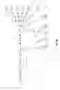 Fig. 167 - Metasearching a client's request by sending at least one search query to a plurality of servers for displaying at least one list on the client of at least one item that may be ordered