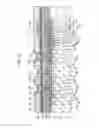 Fig. 08 - Examination apparatus for biological sample and chemical sample