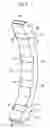 Fig. 09 - Motor including a teeth section and a yoke section which are formed of mutually independent configuration members