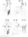 Fig. 07 - Personal identification apparatus and method using living body