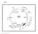 Fig. 06 - Genotoxicity Testing
