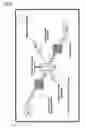 Fig. 15 - Genotoxicity Testing
