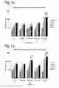 Fig. 02 - Intestinal barrier integrity