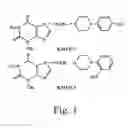 Fig. 02 - Theophylline-based nitophenylpiperazine derivatives for enhancing aortic smooth muscle relaxation