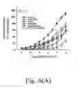 Fig. 07 - Theophylline-based nitophenylpiperazine derivatives for enhancing aortic smooth muscle relaxation