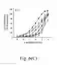 Fig. 09 - Theophylline-based nitophenylpiperazine derivatives for enhancing aortic smooth muscle relaxation