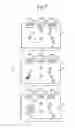 Fig. 08 - System, method, and program for content search and display