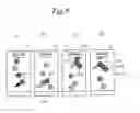 Fig. 09 - System, method, and program for content search and display