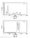 Fig. 06 - Gamma ray spectrometers