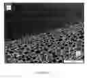 Fig. 02 - Open-Cell Polyurethane Foam Without Skin Formation, Formulation for Its Preparation and Its Use as Support Material for Cell Cultures and Tissue Cultures or Medicaments