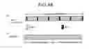 Fig. 46 - Spread spectrum communication device and spread spectrum communication method
