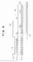 Fig. 10 - Image forming apparatus employing an electrophotographic method