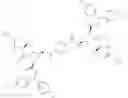 Fig. 197 - IAP BIR domain binding compounds