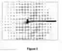 Fig. 04 - Antibody production method