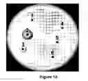 Fig. 13 - Antibody production method