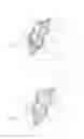 Fig. 02 - METHOD OF INHIBITING THE FORMATION OF ADHESIONS AND SCAR TISSUE AND REDUCING BLOOD LOSS