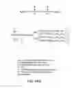 Fig. 197 - Factor VIII: Remodeling and glycoconjugation of factor VIII