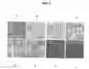 Fig. 03 - Peptides selectively lethal to malignant and transformed mammalian cells