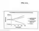 Fig. 13 - Peptides selectively lethal to malignant and transformed mammalian cells