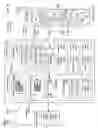 Fig. 22 - Transmitting aggregated information arising from appnet information