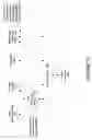 Fig. 18 - Entropy processor for decoding