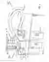 Fig. 02 - Cold collapse method and apparatus