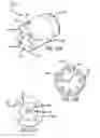 Fig. 11 - Cold collapse method and apparatus