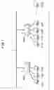 Fig. 02 - Wireless communication apparatus, load dispersing method thereof, load dispersing program thereof, and wireless communication system