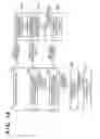 Fig. 02 - Image forming apparatus