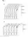 Fig. 02 - Electron-Conjugated Organic Silane Compound, Functional Organic Thin Film And Production Method Thereof