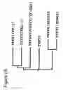Fig. 04 - Transient receptor potential channel TRPM8 and its use