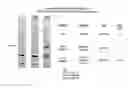 Fig. 01 - Method of designing synthetic nucleic acid sequences for optimal protein expression in a host cell