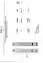 Fig. 09 - Method of designing synthetic nucleic acid sequences for optimal protein expression in a host cell