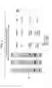Fig. 10 - Method of designing synthetic nucleic acid sequences for optimal protein expression in a host cell