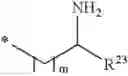 Fig. 05 - Antibacterial amide macrocycles IV