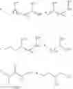 Fig. 06 - Antibacterial amide macrocycles IV