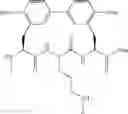 Fig. 100 - Antibacterial amide macrocycles IV