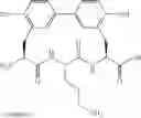 Fig. 101 - Antibacterial amide macrocycles IV